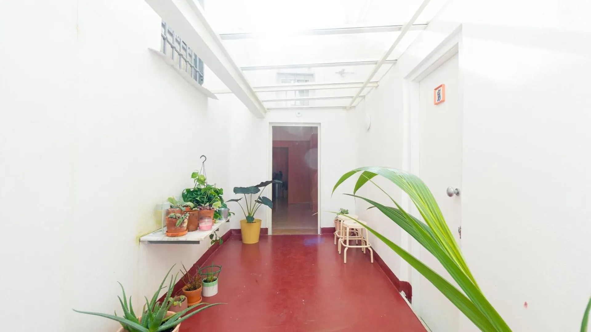 Oda B&B Naples Italy