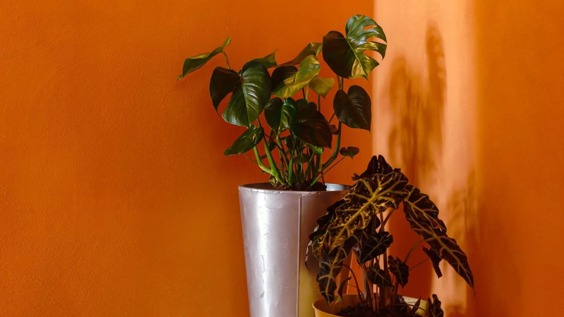 Bed & Breakfast Oda B&B Naples